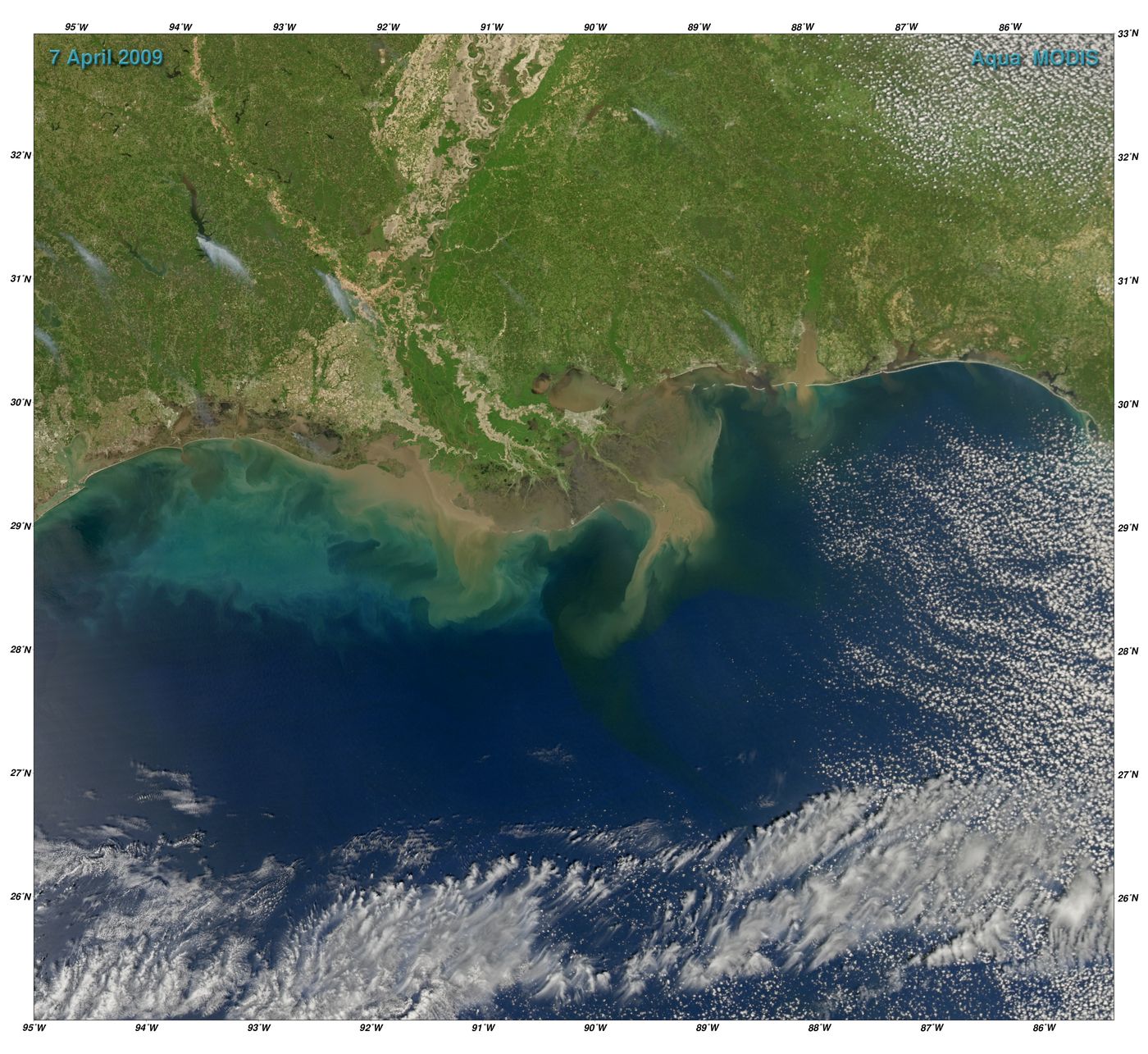 Fine Sediment Dynamics