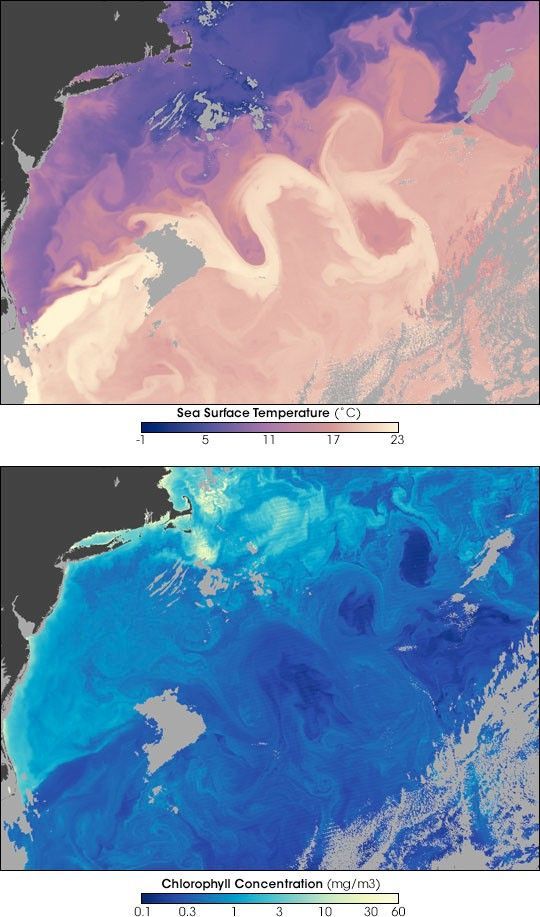 Regional Ocean Forecast System (ROMS)