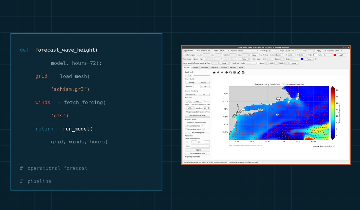 Scientific Software Development